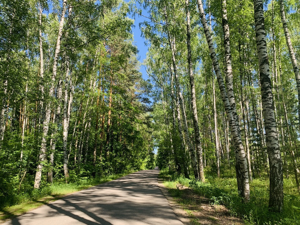 Зеленый город в Нижегородской области