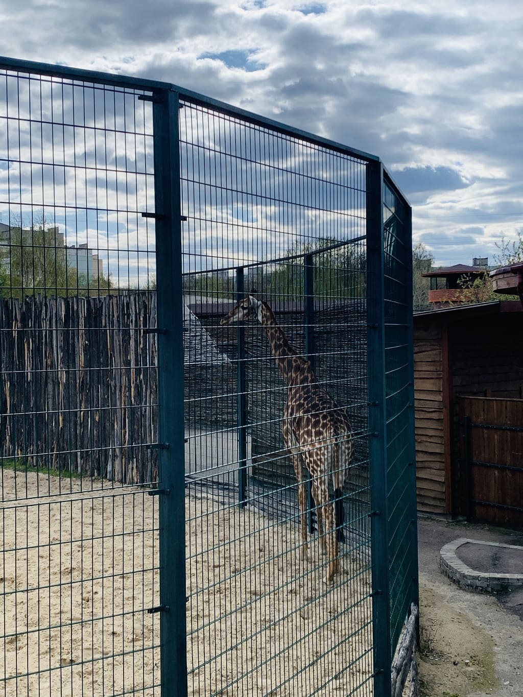 Зоопарк Лимпопо в Нижнем Ногороде